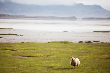 landscapes  in Iceland