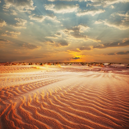 Sahara desertの写真素材