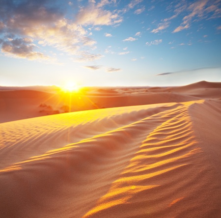 Sahara desertの写真素材