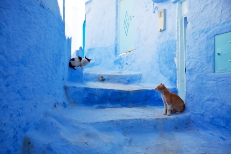 Chefchaouen in Moroccoの写真素材