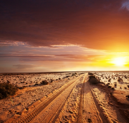 road in Sahara desertの写真素材