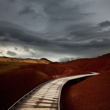 boardwalk in forestの写真素材