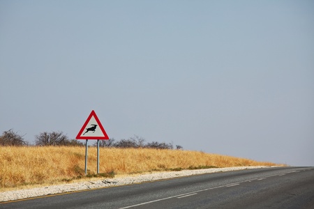 Warning of road sign - antelope  on the road in Namibiaの写真素材
