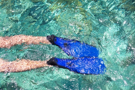 snorkelingの写真素材