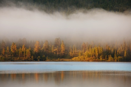 fog on lakeの写真素材