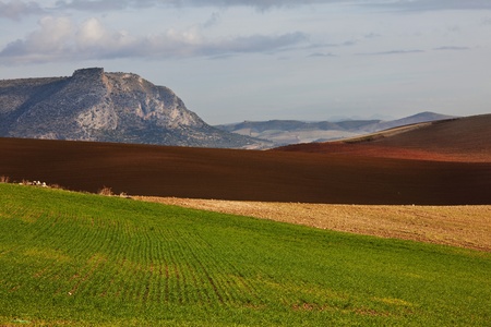 Fieldsの写真素材