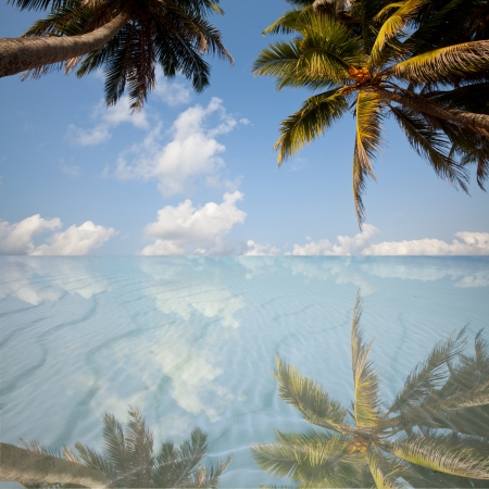 Tropical beachの写真素材