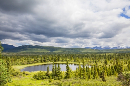 river in tundra on Alaskaの写真素材