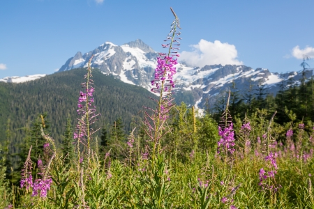  Mount Shuksan,Washingtonの写真素材