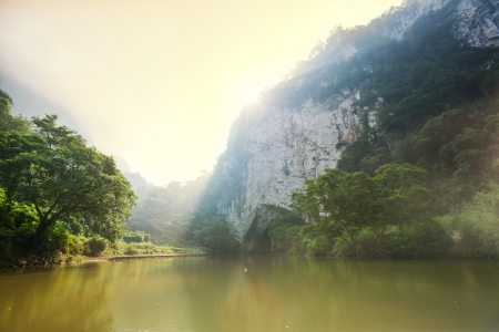 jungle in Vietnam