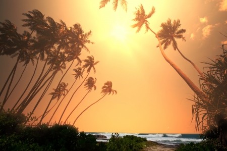 Tropical beachの写真素材