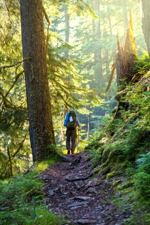 Boy backpacker in forestの写真素材