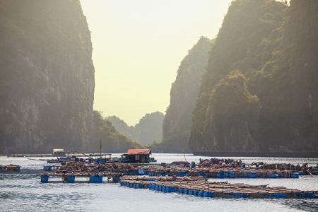 Halong Bay,Vietnamの写真素材