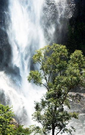 Waterfall on Sri Lanka,Horton Placeの写真素材