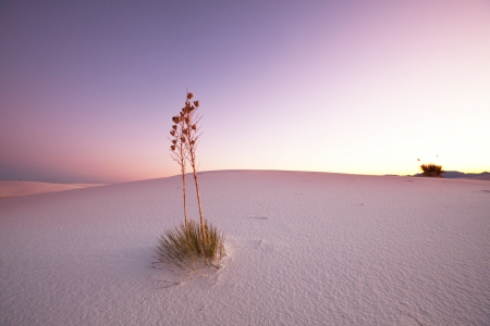White Sands Park in USAの写真素材