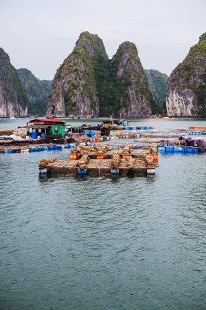 Halong Bay,Vietnamの写真素材