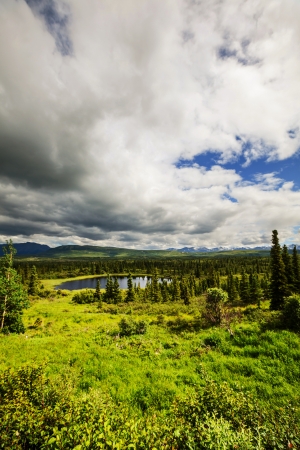 Serenity lake in tundra on Alaskaの写真素材