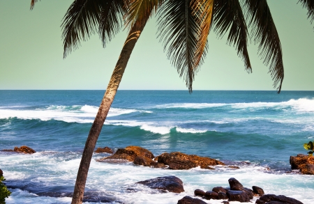 Tropical beachの写真素材