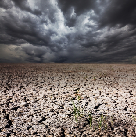 drought landの写真素材