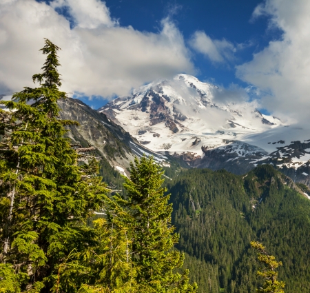 Mt.Rainierの写真素材