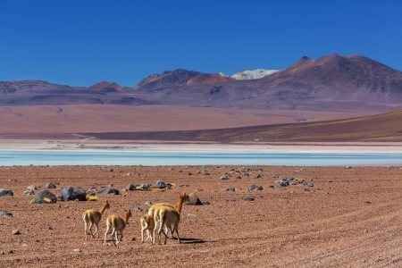 High mountains in Boliviaの写真素材