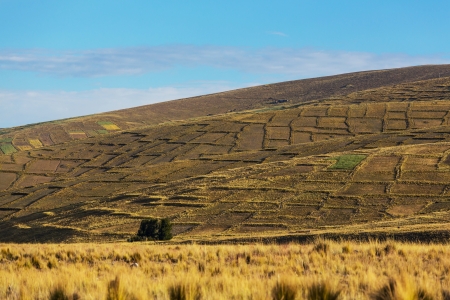 Fieldsの写真素材