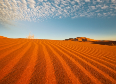 Sahara desertの写真素材