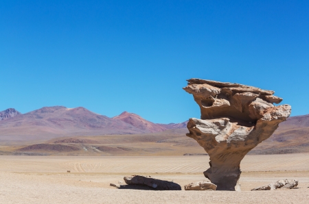 Arbol de piedra - Stone rock formation in Boliviaの写真素材