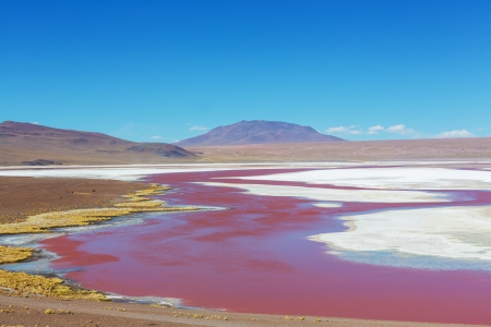 Laguna Colorada in Boliviaの写真素材