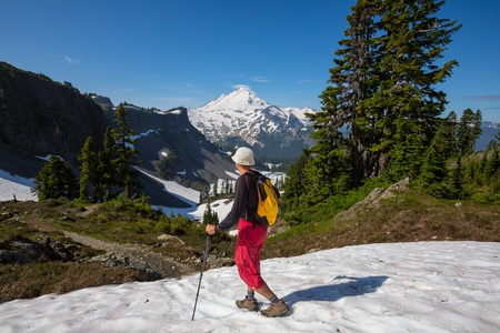 hiking in Mt Baker area, Washingtonの写真素材