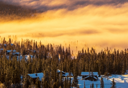 Winter sceneの写真素材