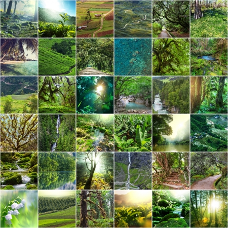 green collageの写真素材