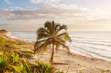 Tropical beachの写真素材