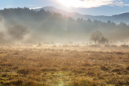 meadowの写真素材