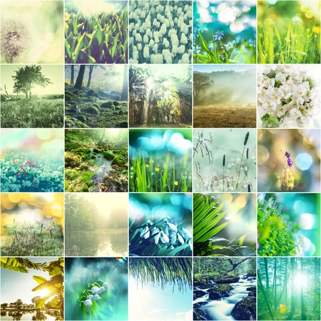 green collageの写真素材