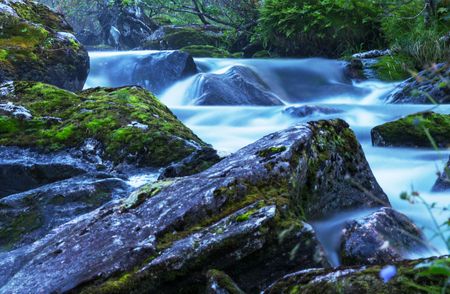 creek in forestの写真素材