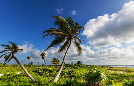 Tropical beachの写真素材
