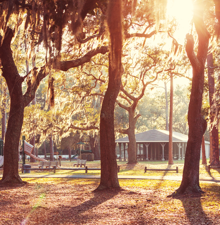 In  gardenの写真素材