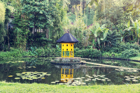 In  gardenの写真素材