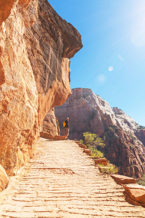 Hike in Zion national parkの写真素材