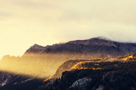 Grand Teton National Parkの写真素材