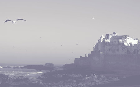 Essaouira city in Moroccoの写真素材