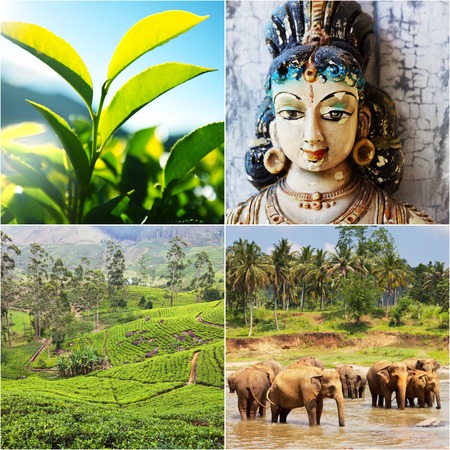 Sri Lankaの写真素材