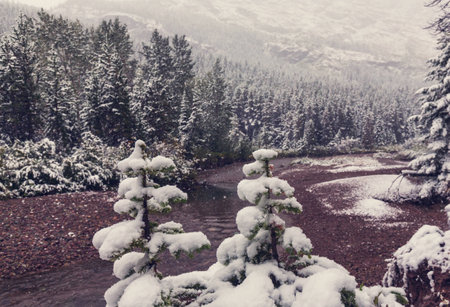 Glacier National Park, Montana. Winter.