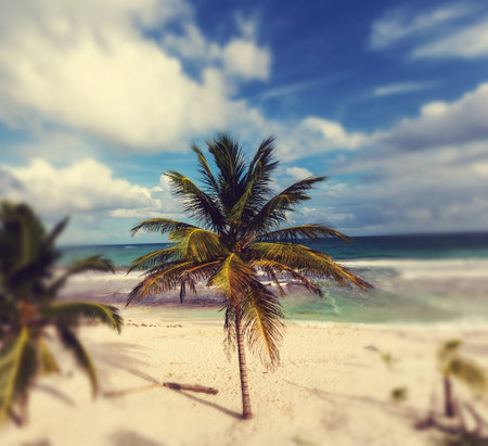 Serenity tropical beachの写真素材