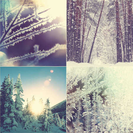 winter vacation collageの写真素材