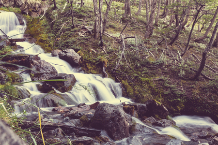 creek in forestの写真素材