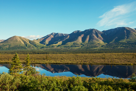 Mountain meadow in Alaskaの写真素材