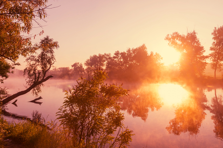 Unusual river fog in summer seasonの写真素材