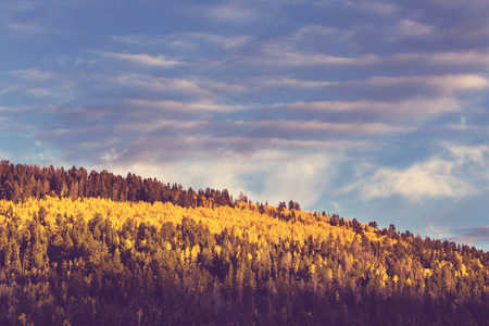 autumn sceneの写真素材